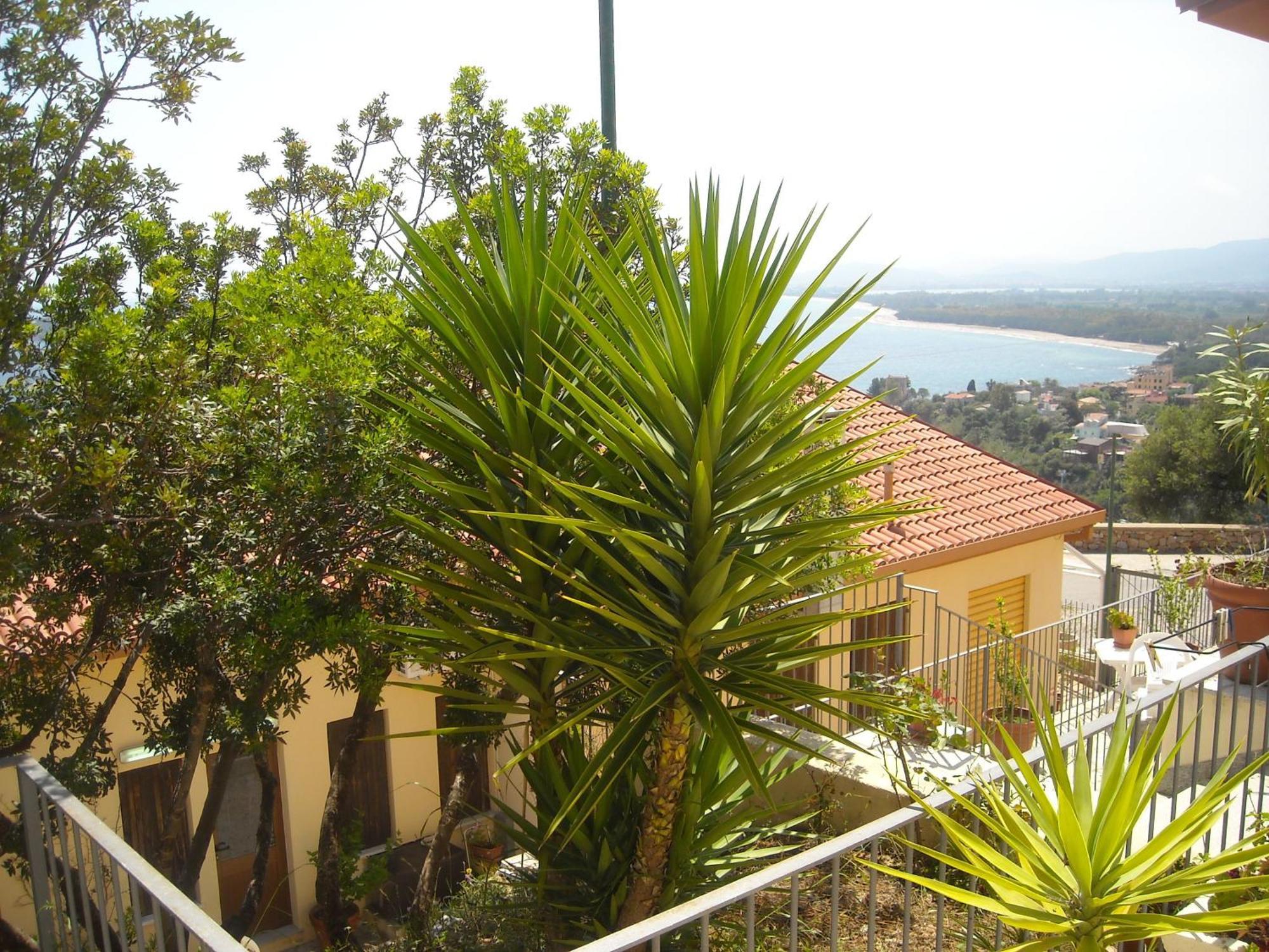 Ostello Bellavista Santa Maria Navarrese Exterior foto